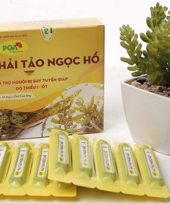 PQA Hải Tảo Ngọc Hồ